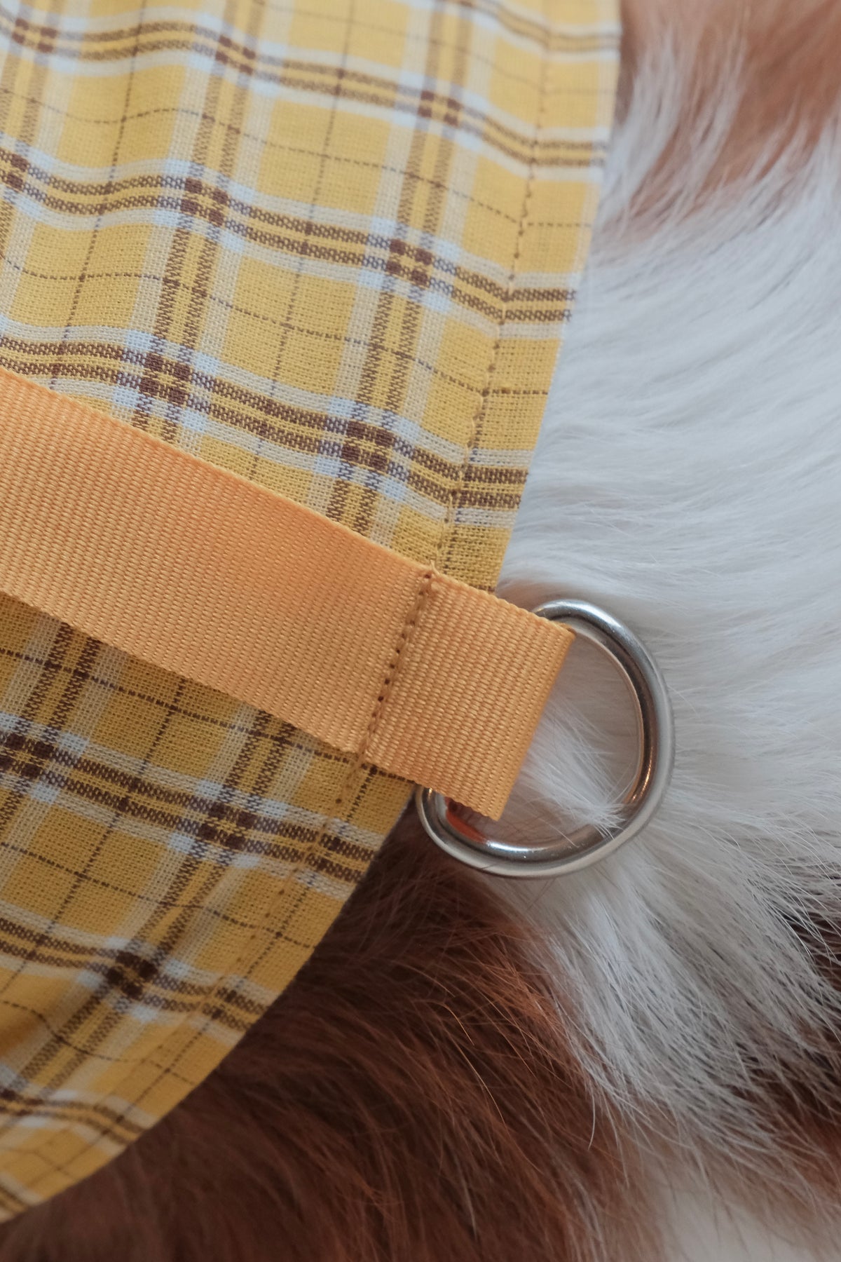 The Budapest Bakery | Plaid reversible dog harness vest