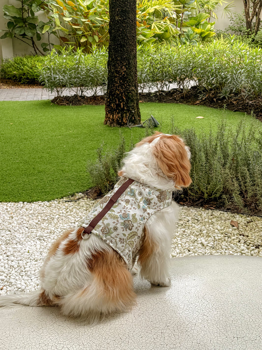Botanical Guide | Vintage florals reversible dog harness vest