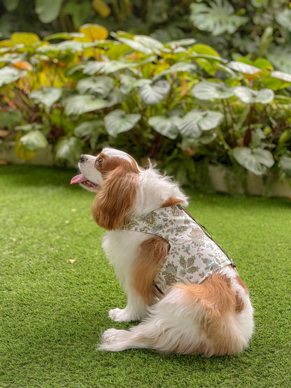 Botanical Guide | Vintage florals reversible dog harness vest
