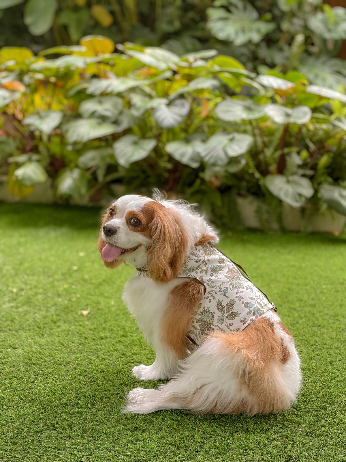 Botanical Guide | Vintage florals reversible dog harness vest