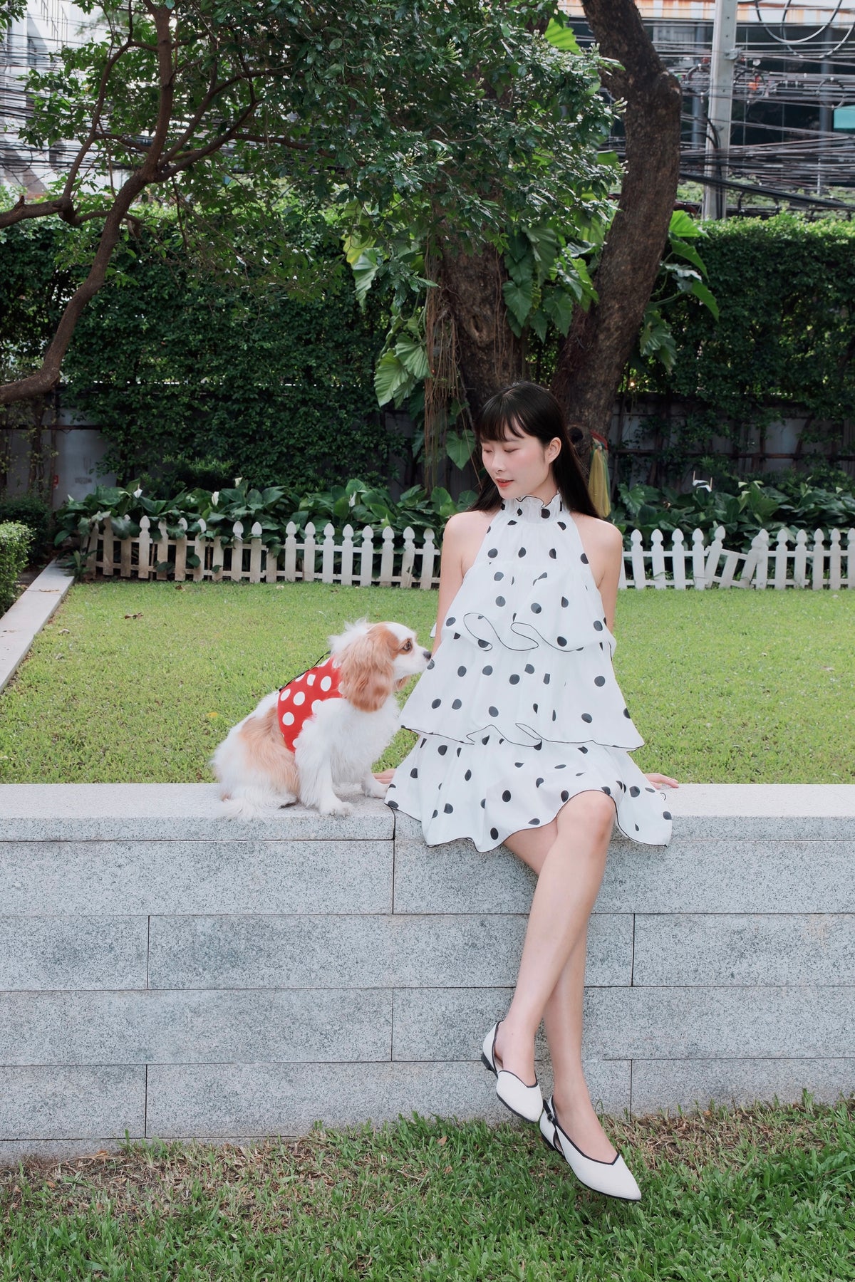 Ladybug Archive | Polka dot reversible dog harness vest