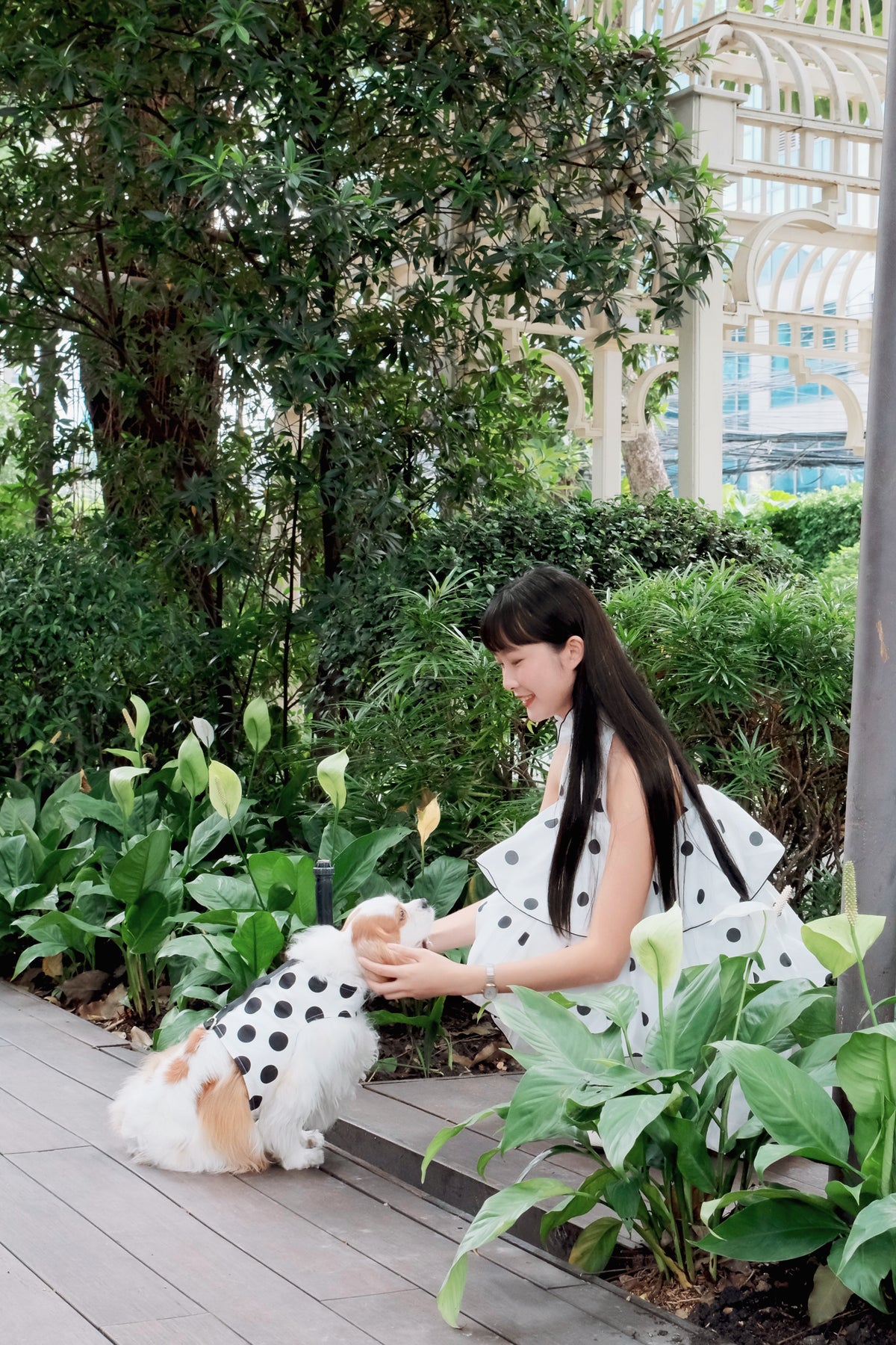 Ladybug Archive | Polka dot reversible dog harness vest