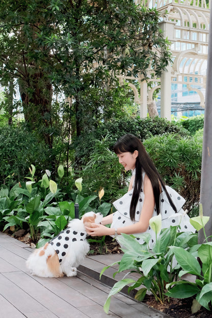 Ladybug Archive | Polka dot reversible dog harness vest
