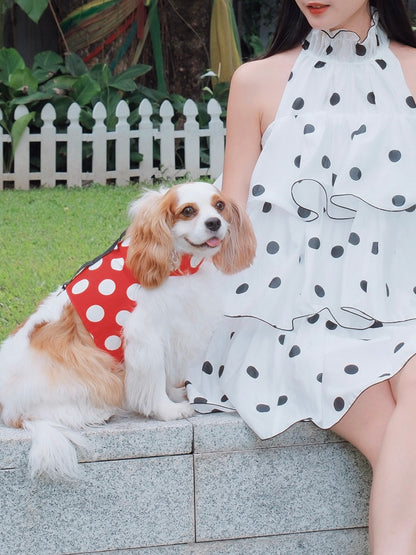 Ladybug Archive | Polka dot reversible dog harness vest