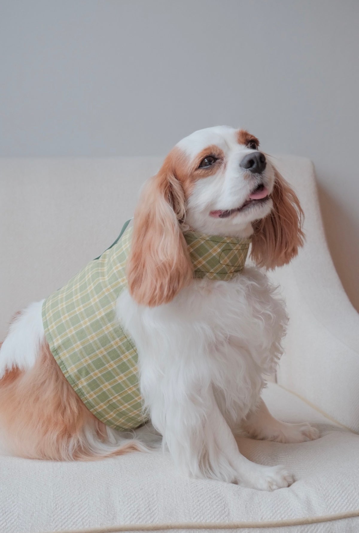 The Budapest Bakery | Plaid reversible dog harness vest