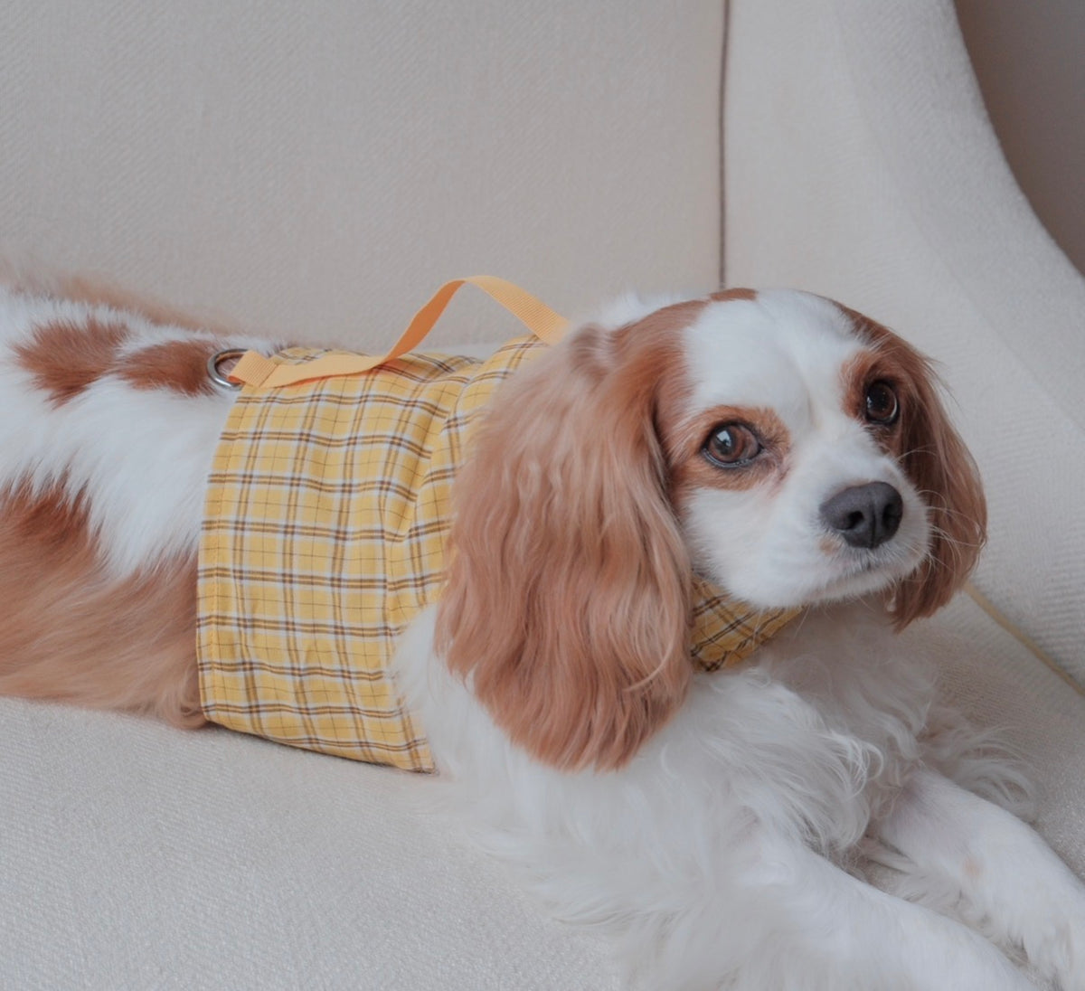 The Budapest Bakery | Plaid reversible dog harness vest